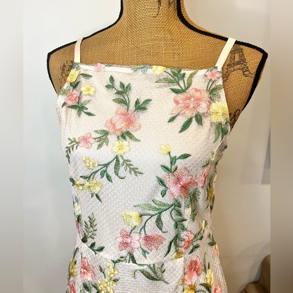 Sam Edelman Embroidered Mesh Mini Dress Cream Pink NWT Size 8